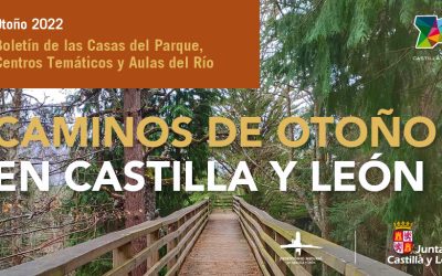 Otoño en Castilla y León
