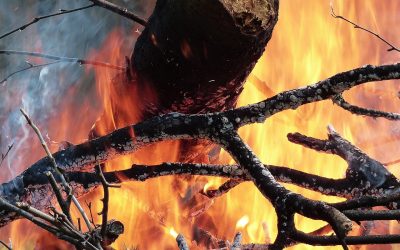 Peligro medio de incendios en Castilla y León – Octubre 2022